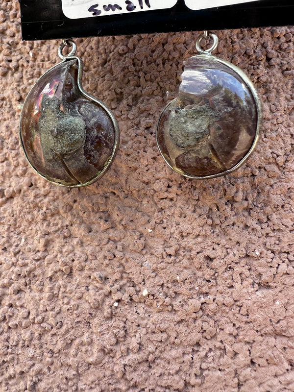 Authentic Ammonite Earrings