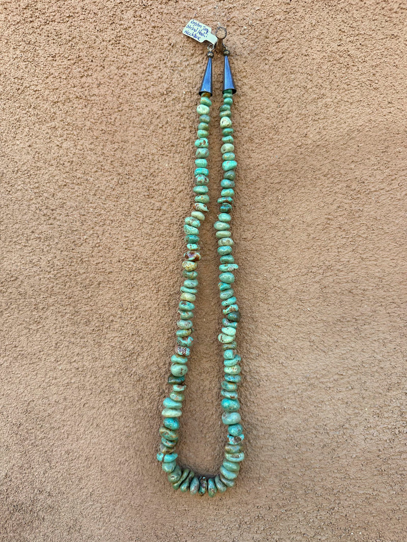 Roysten Turquoise Strand Heshi Necklace