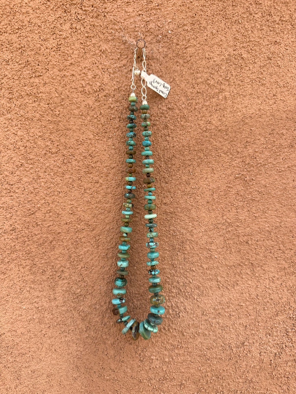 Crow Springs Turquoise and Sterling Silver Necklace