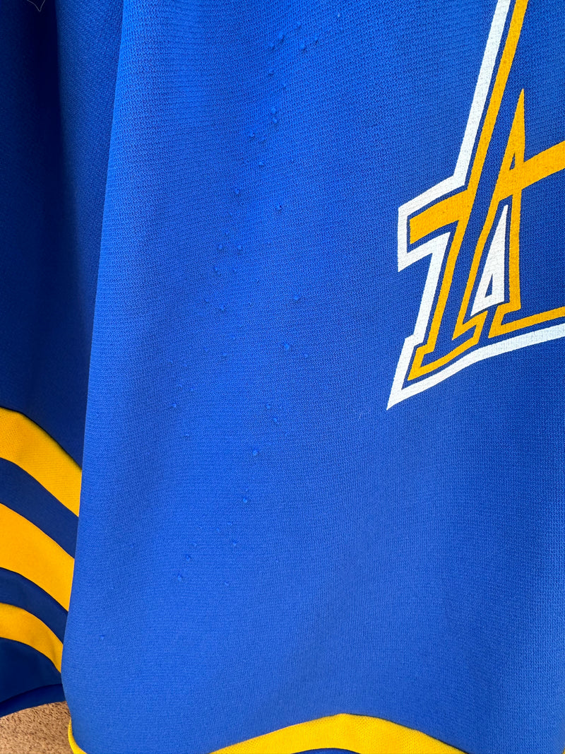 Hampton Roads Admirals Hockey Sweater