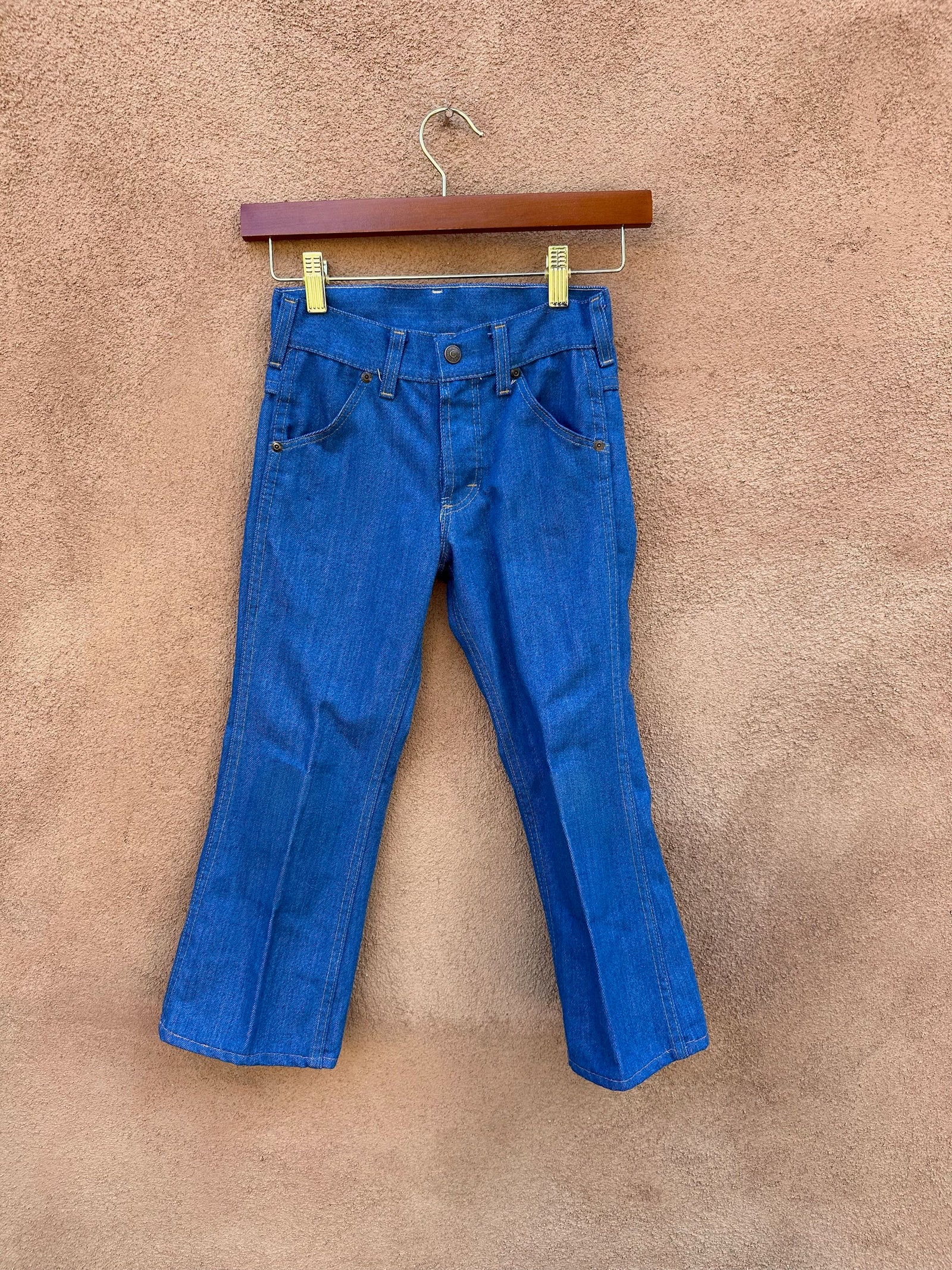 Vintage 1970's Sears Toughskins Kid's Bellbottoms – DESERT MOSS