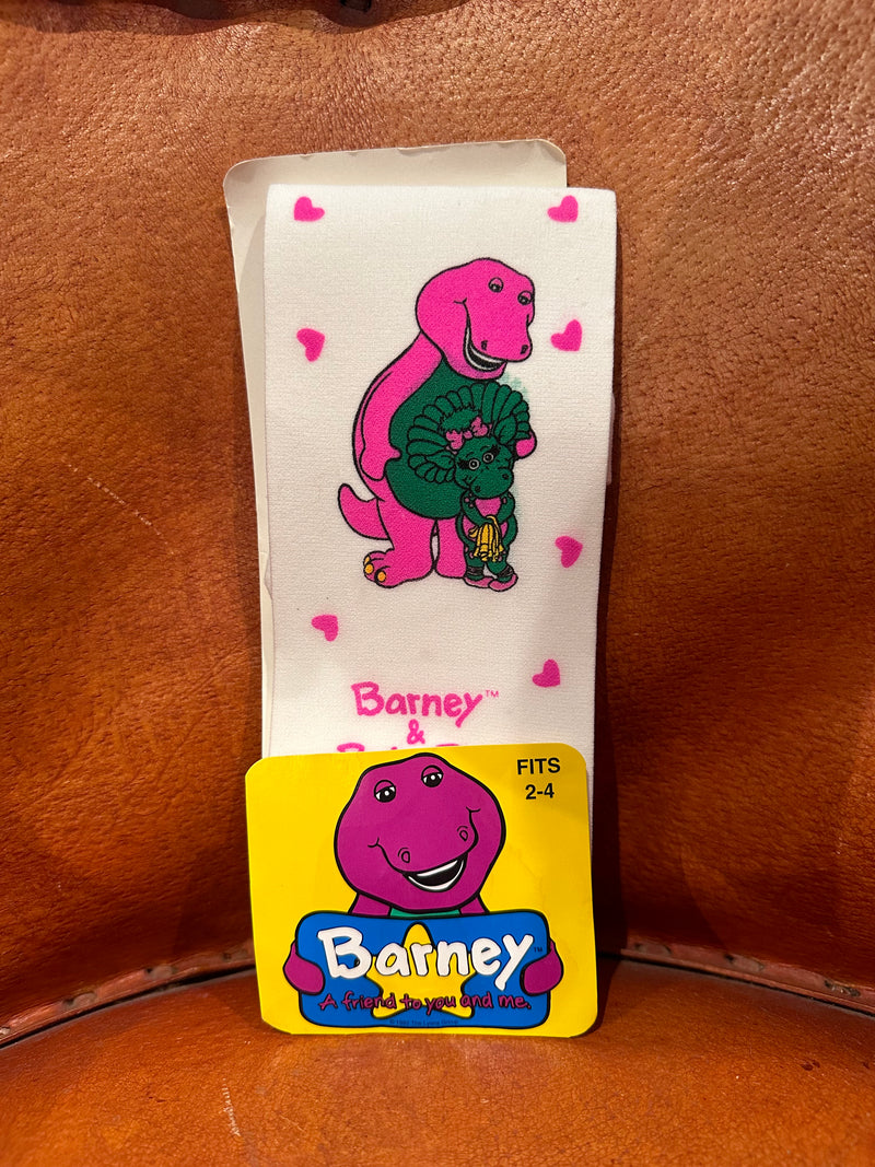 Dead Stock Barney Kid's Leggings