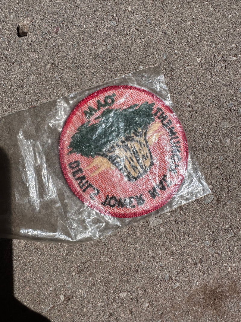 1970's Devils Tower National Monument Patch