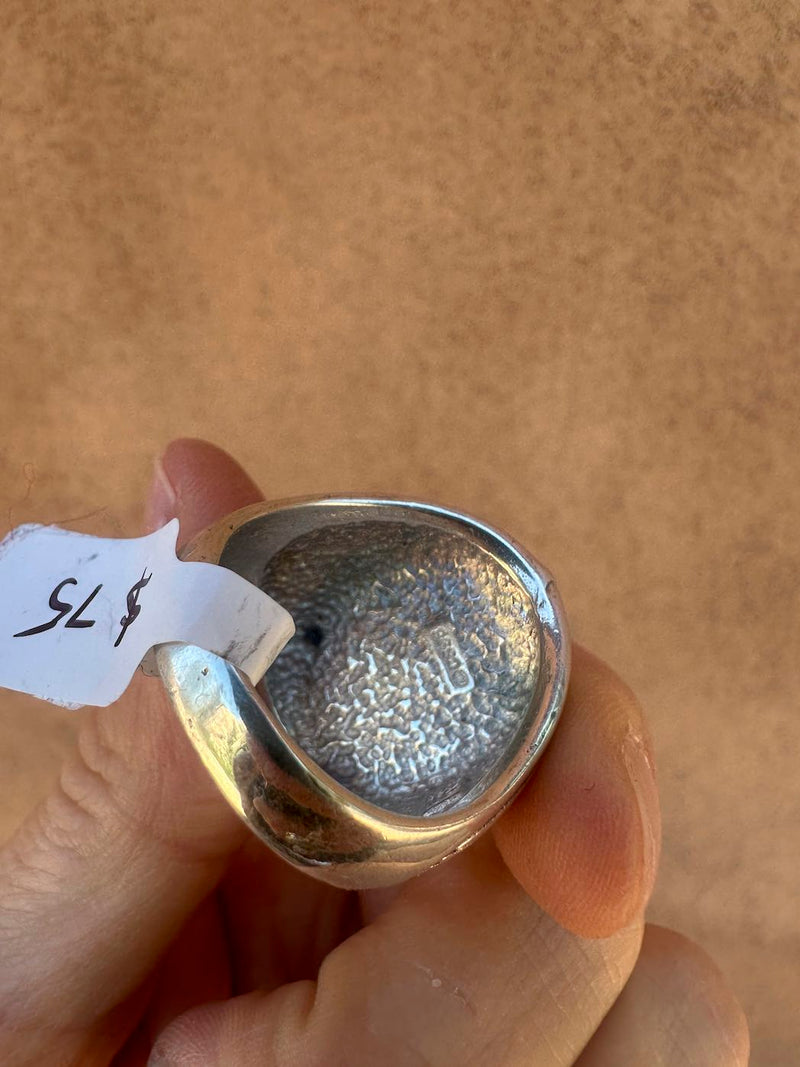 Professional Truck Driver Ring