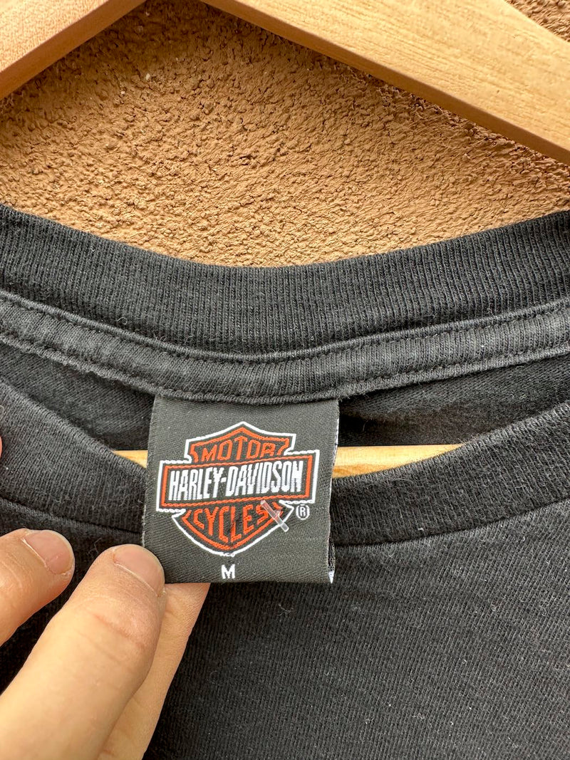 2001 Chicago, IL Harley Davidson T-shirt