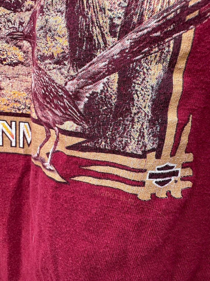 2001 Barnett Harley Davidson Las Cruces, NM T-shirt