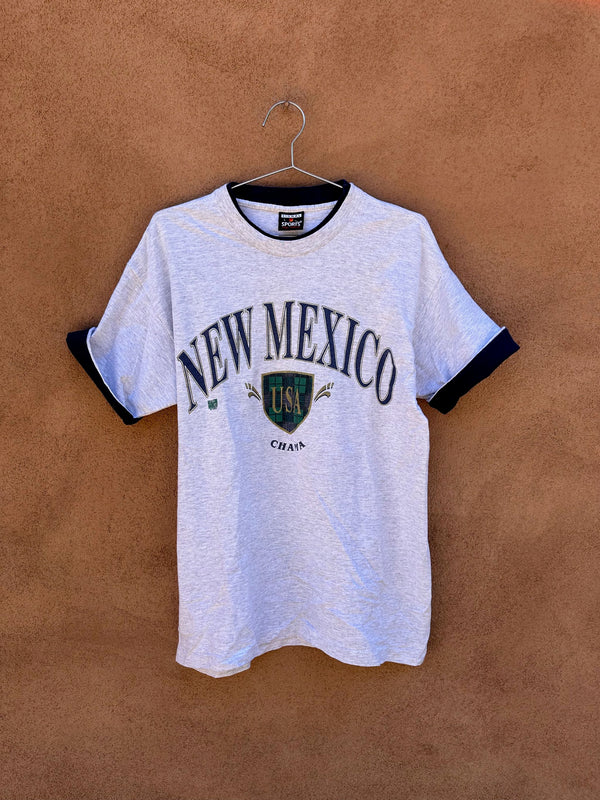 90's Heather Gray New Mexico Chama T-shirt