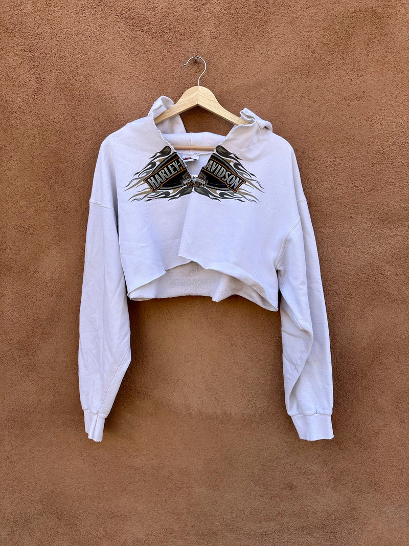 Cropped & Altered Appleton, WI Harley Davidson Hoodie