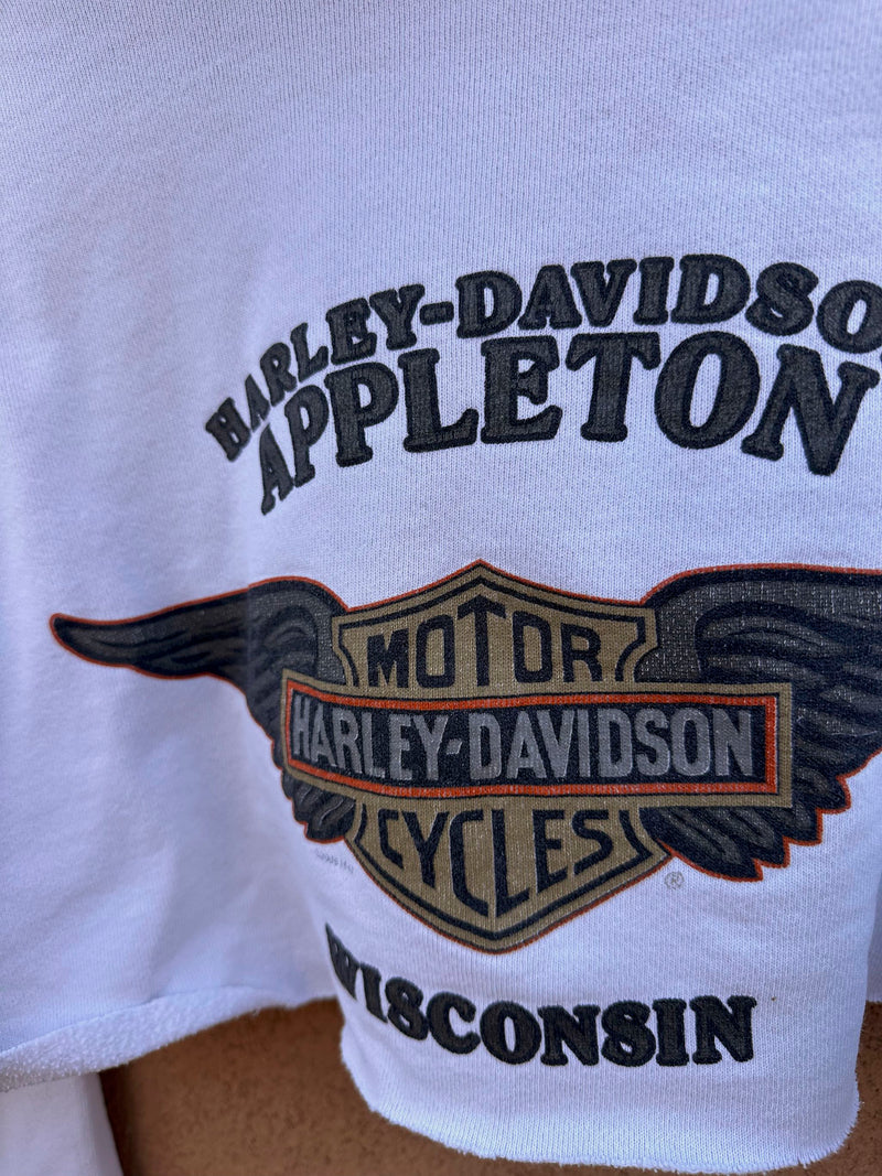 Cropped & Altered Appleton, WI Harley Davidson Hoodie