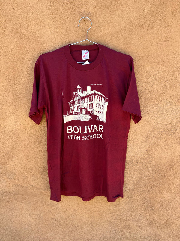 Bolivar, PA Public School T-shirt
