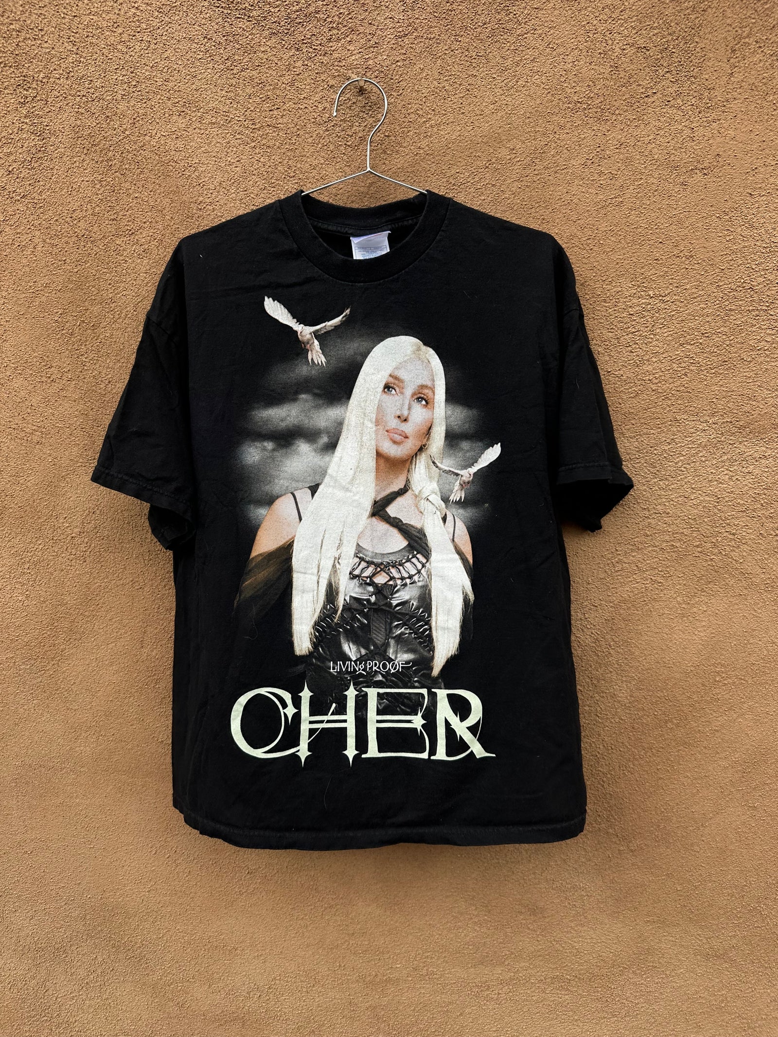 激レア当時物 CHER LIVIN' PROOF Tシャツ ブラック XL Vintage Cher Living Proof Tour T-shirt – DESERT MOSS VINTAGE