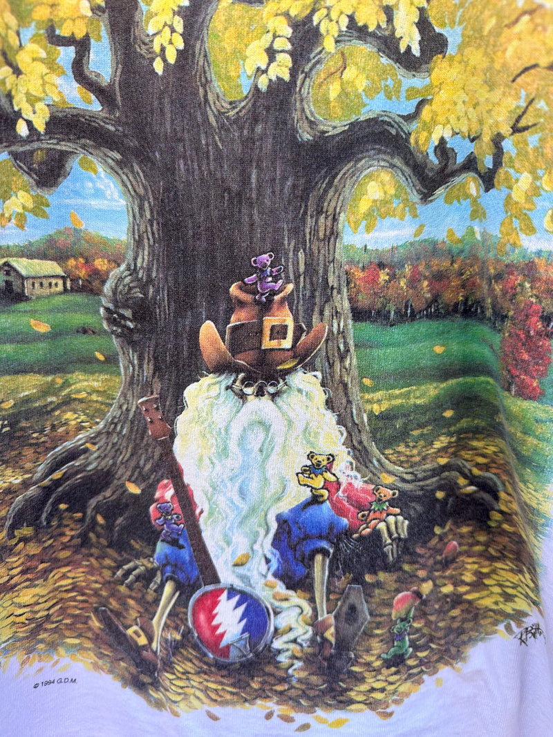 1994 Madison Square Garden New York City, NY October Shows, Rip Von Winkle Bridge #1