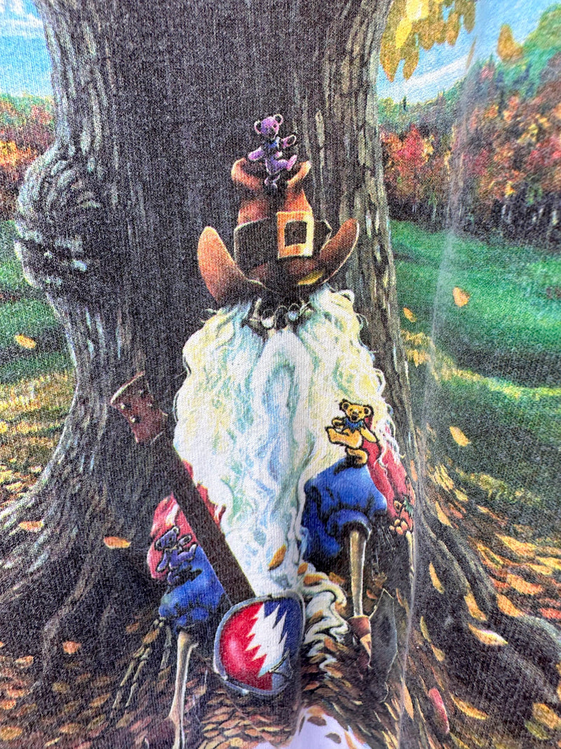 1994 Madison Square Garden New York City, NY October Shows, Rip Von Winkle Bridge #2