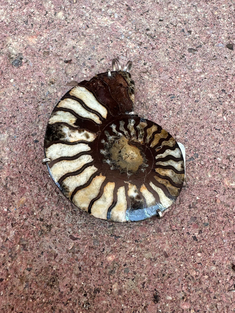 Ammonite Pendant with Sterling Silver (on hold)
