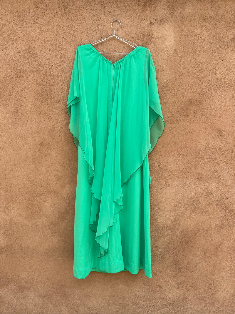 Vintage 1960's Chiffon Maxi Dress by Lily Lynn DESERT MOSS VINTAGE Vintage 1960's Chiffon Maxi Dress by Lily Lynn DESERT MOSS VINTAGE