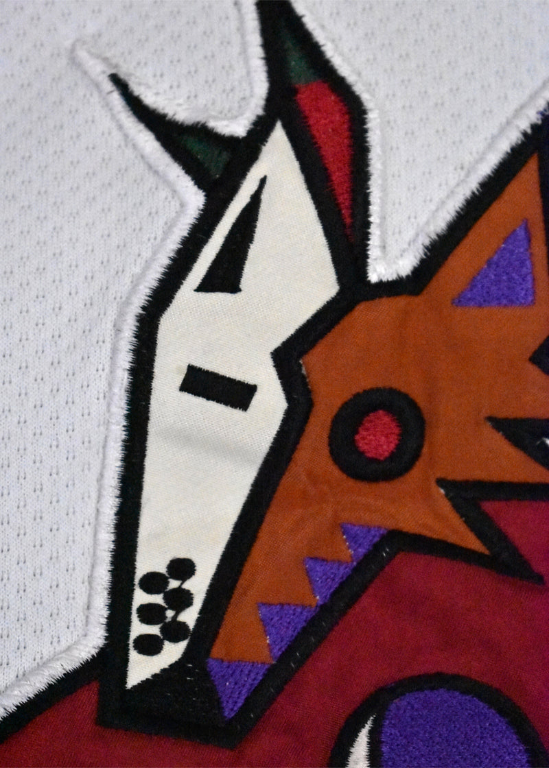 Kid's Phoenix Coyotes Jeremy Roenick Hockey Jersey