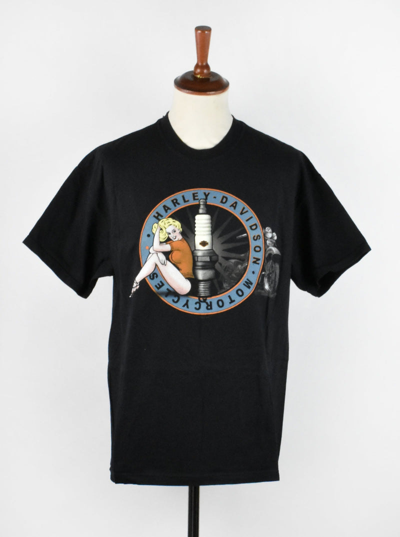 Vintage Varga Girl Harley Davidson T-Shirt from Henderson, NV - Hoover Dam on Back