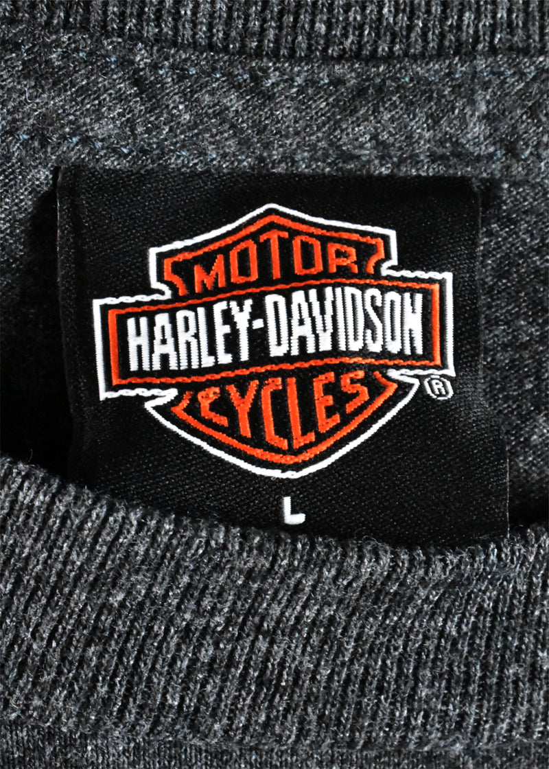 V Twin Engine Thrills Harley Davidson T-Shirt from Henderson Nevada, Made in the USA