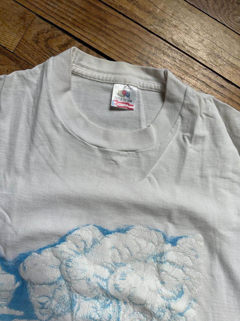 Bison Spirits Southwest Tee